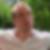 Profilbild von Florian Moser