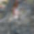 Profilbild von Astrid Frister