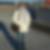 Profilbild von Birgit Hentschke