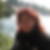 Profilbild von Susanne Krampe