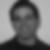 Profilbild von Michael Bergheim