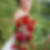 Profilbild von Janine Schreibvogel