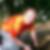 Profilbild von David Berghof