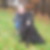 Profilbild von Klaus-Hans Winter