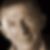Profilbild von Rainer Büscher
