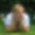 Profilbild von Britta Vaske-Vitasek