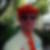 Profilbild von Matthias Böhme