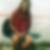 Profilbild von Ute Thimm