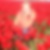 Profilbild von Birgit Giesen