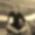 Profilbild von Sylke Proft