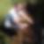 Profilbild von Thomas Stöger