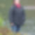 Profilbild von Jutta Burmester