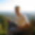 Profilbild von Johannes Schumm