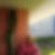 Profilbild von Brigitte Muus