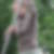 Profilbild von Bettina Drawe