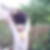 Profilbild von Gido Baruth