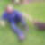Profilbild von Reiner Brus