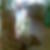 Profilbild von Grit Rahmsdorf
