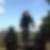 Profilbild von Ricarda Haupt