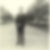 Profilbild von Thomas Brode