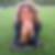 Profilbild von Ina Wendler