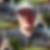 Profilbild von Mike Eckhardt