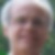Profilbild von Walter Schmidt