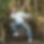 Profilbild von Harald Schindler