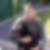 Profilbild von Peter Goldbach