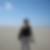 Profilbild von Hatice-Nese Talay