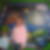 Profilbild von Jacqueline Pallor