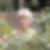 Profilbild von Renate Hey