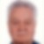 Profilbild von Gerhard Belitz