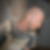 Profilbild von Peter Taube