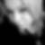 Profilbild von Ulla Richter