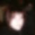 Profilbild von Tina Symmank