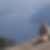 Profilbild von Michael Walter