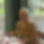 Profilbild von Elfriede Heinen