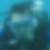 Profilbild von Ingo Schievink