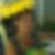 Profilbild von Carola Woosmann