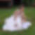 Profilbild von Jessica Schmitt