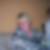 Profilbild von Ilona Seywert