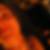 Profilbild von Ines Grieger