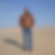 Profilbild von Markus Paul