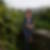 Profilbild von Birgit Wagner