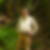 Profilbild von Alexander Schlimbach 
