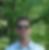Profilbild von Dirk Schweizer