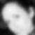 Profilbild von Isabell Spohr