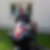 Profilbild von Bernd Vogelgesang