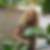 Profilbild von Silke Mazzi
